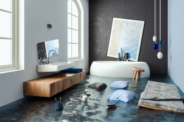 Best Local water damage restoration  in West Portsmouth, OH
