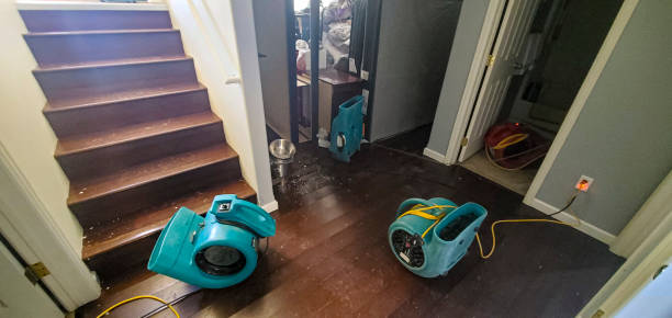 Best Water damage restoration near me  in West Portsmouth, OH