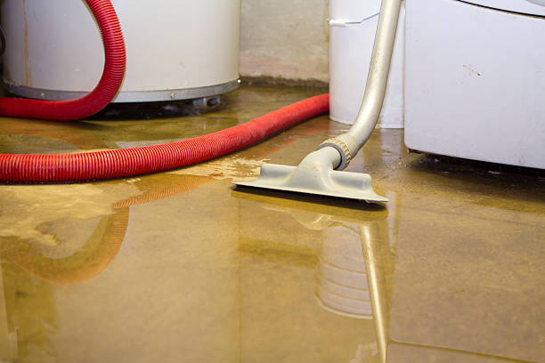 Best Water damage cleanup near me  in West Portsmouth, OH