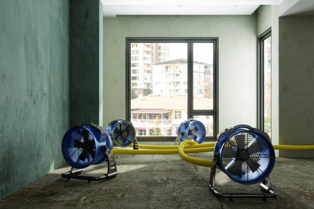 Best Water damage restoration near me  in West Portsmouth, OH